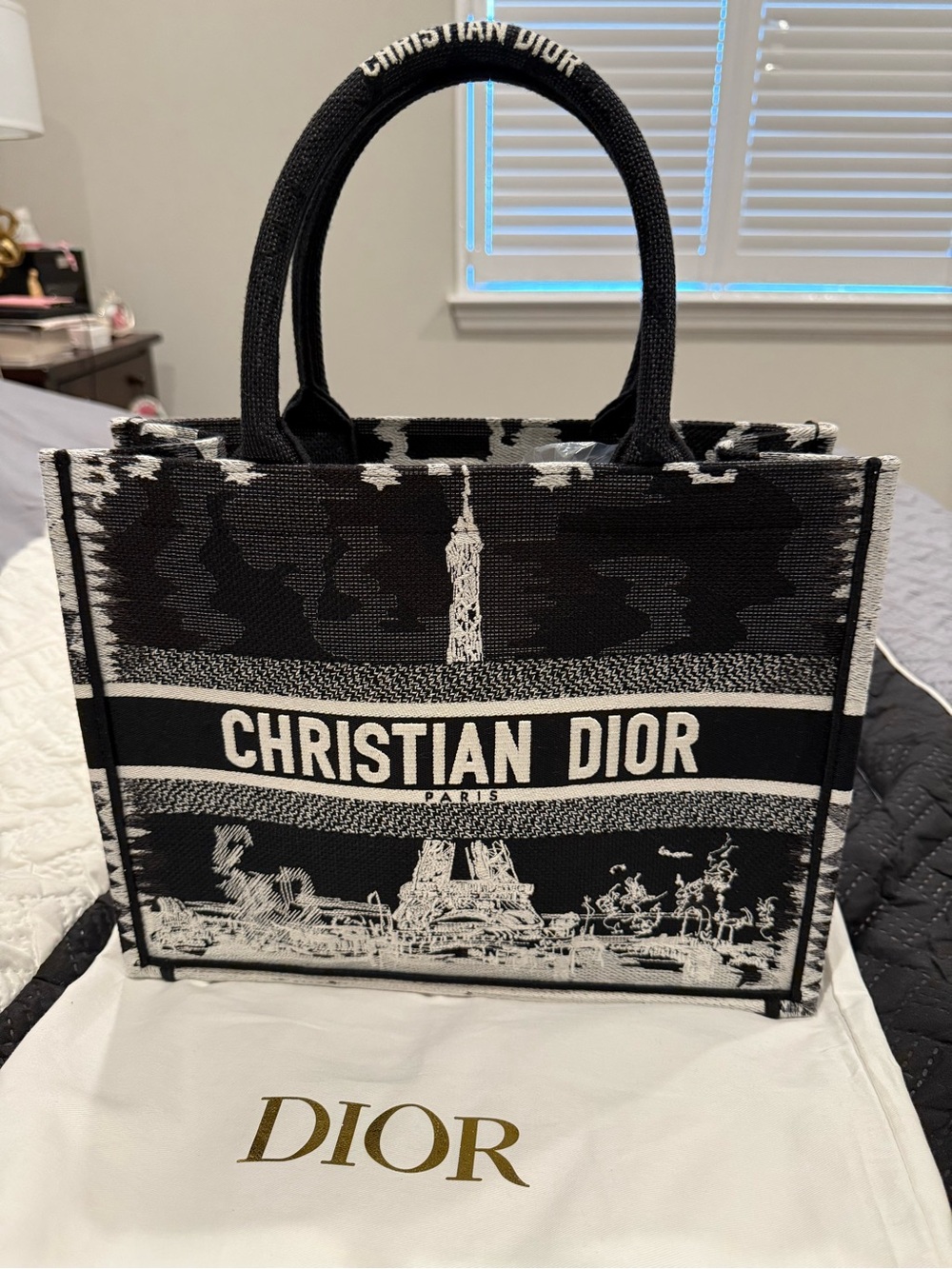 Dior Medium Special Edition Paris Book tote